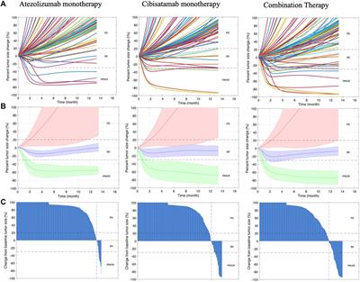 Using quantitative systems pharmacology modeling to optimize combination therapy of anti-PD-L1 checkpoint inhibitor and T cell engager